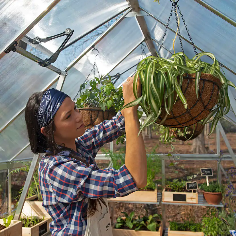 Växthus Canopia by Palram Balance 8,9 m²