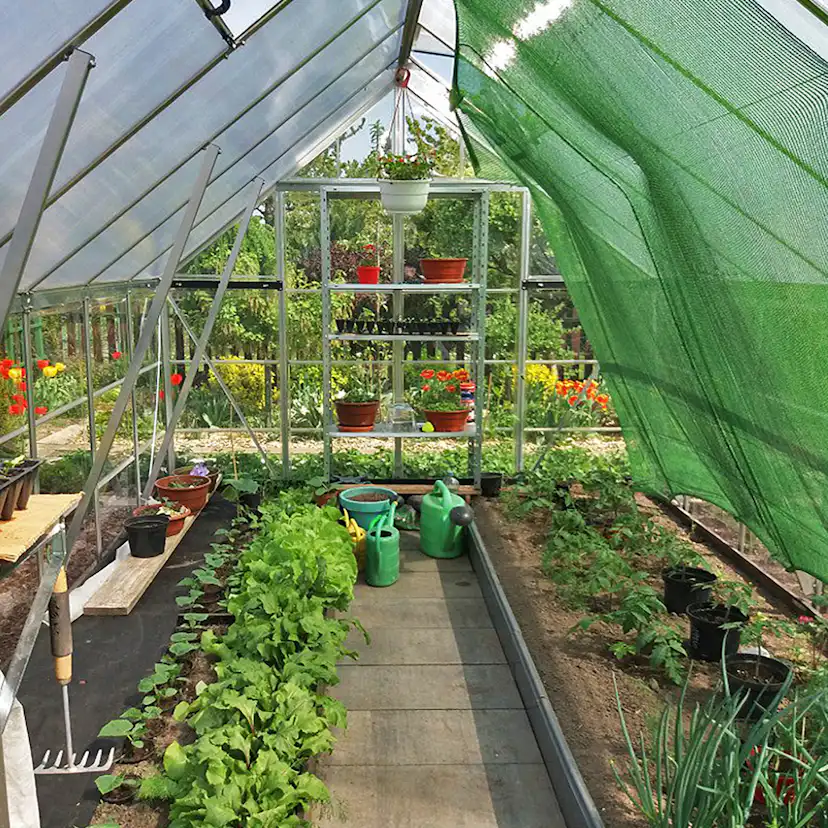 Växthus Canopia by Palram Balance 8,9 m²
