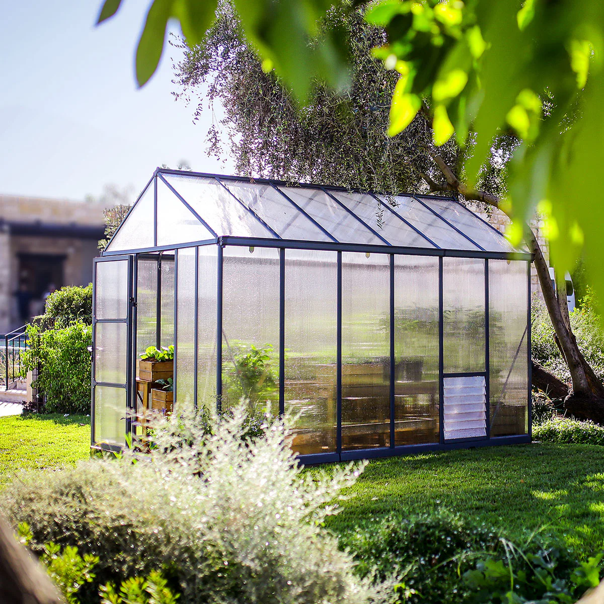 Växthus Canopia by Palram Glory 9,2 m² Mörkgrå