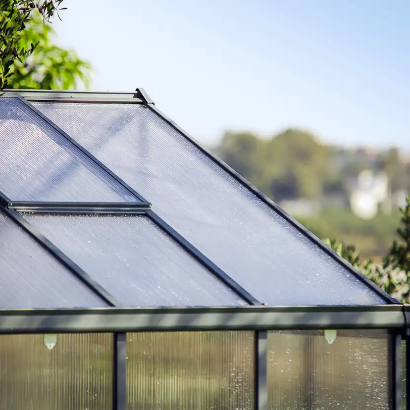 Växthus Canopia by Palram Glory 12,2 m² Mörkgrå