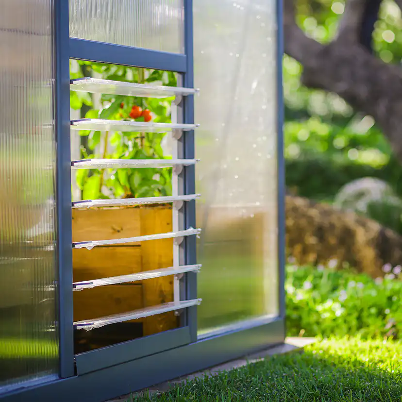 Växthus Canopia by Palram Glory 12,2 m² Mörkgrå