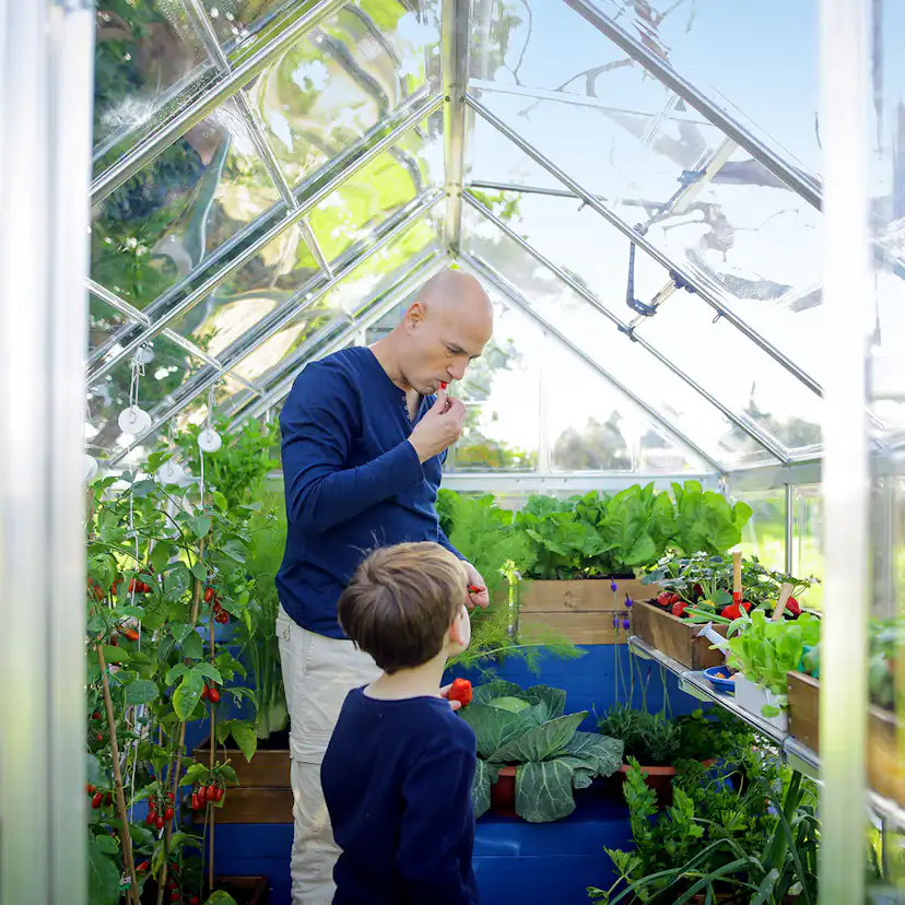 Växthus Canopia by Palram Harmony 5,7 m²