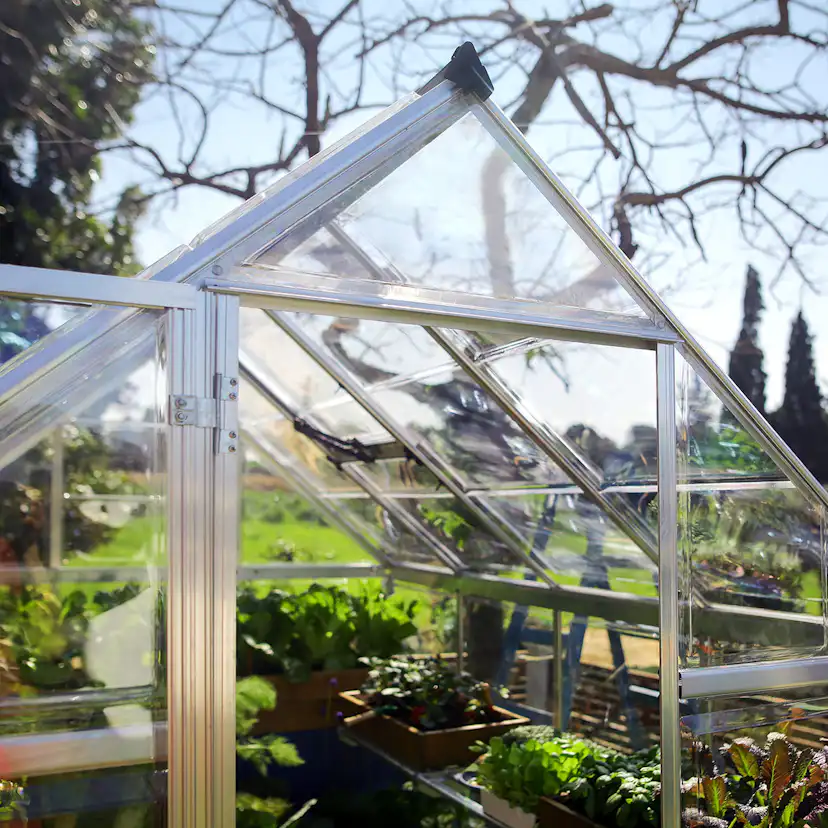 Växthus Canopia by Palram Harmony 5,7 m²
