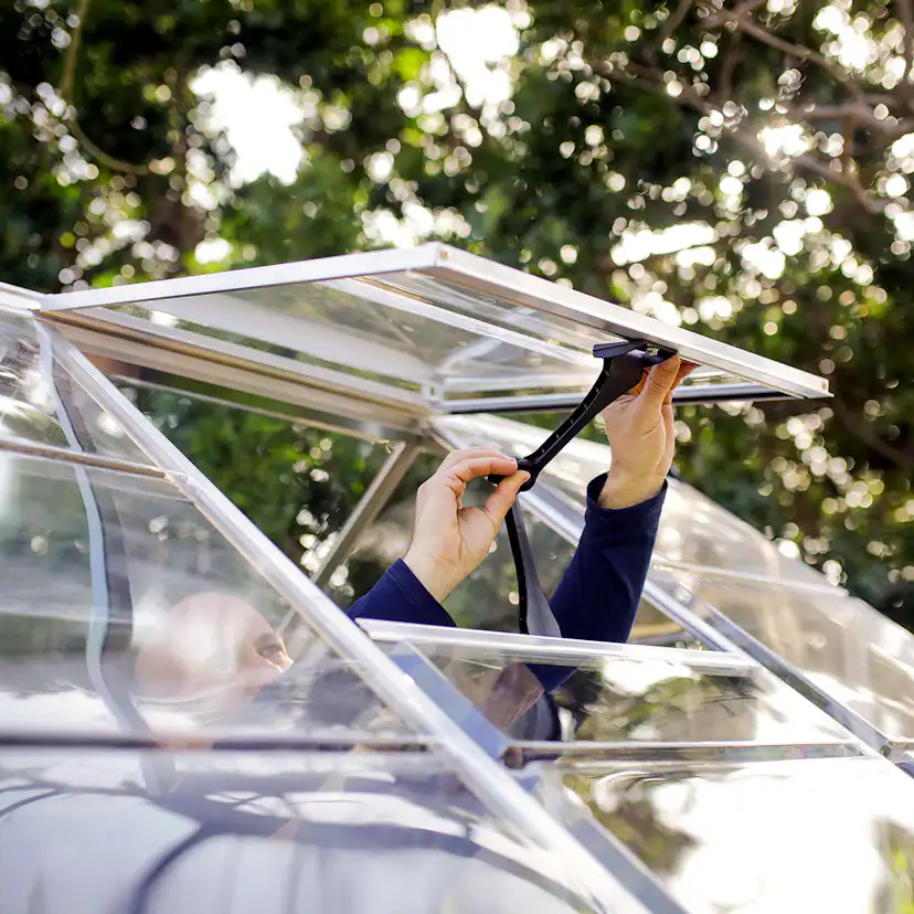 Växthus Canopia by Palram Harmony 5,7 m²