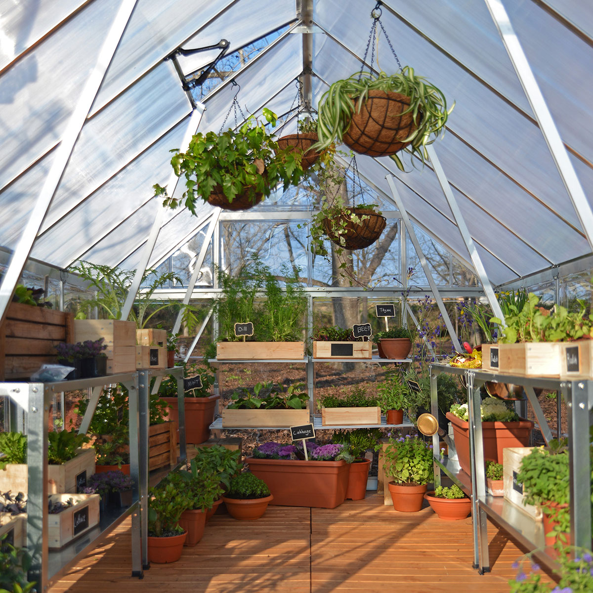 Växthus Canopia by Palram Balance 14,8 m²