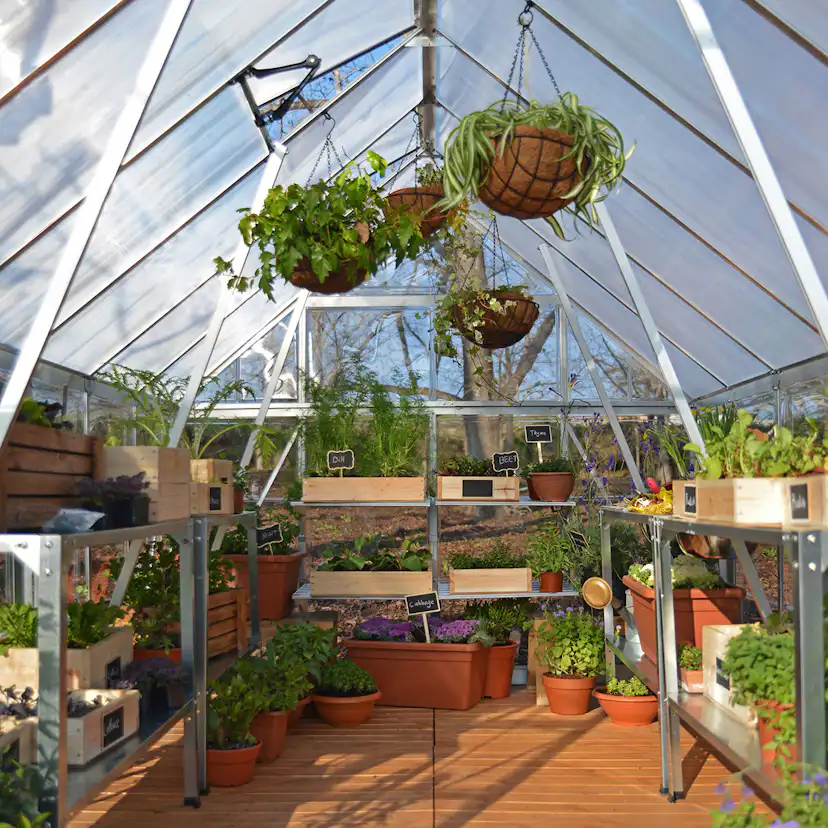 Växthus Canopia by Palram Balance 14,8 m²