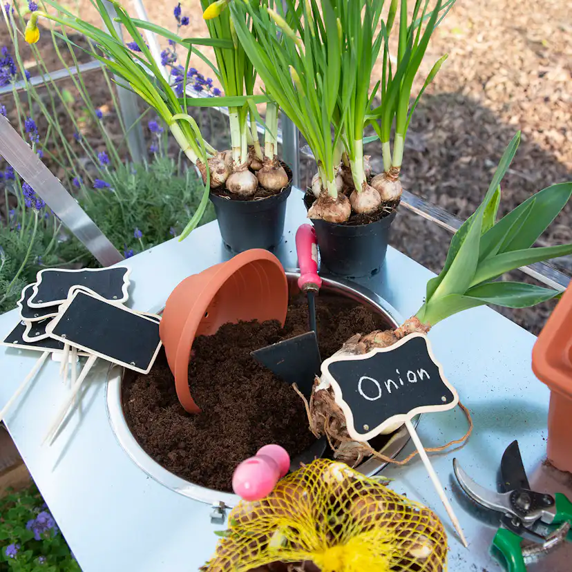 Växthus Canopia by Palram Balance 14,8 m²