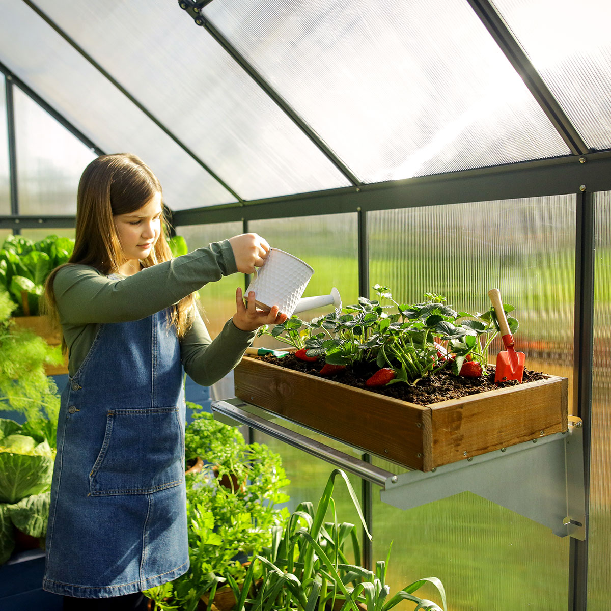 Växthus Canopia by Palram Mythos 4,6 m²