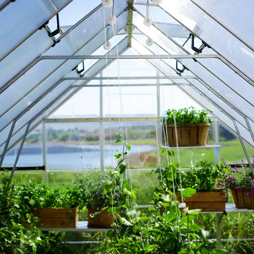 Växthus Canopia by Palram Balance, Aluminiumram med UV-Skyddad Polykarbonat & Ventilationsfönster, 10,8 m²