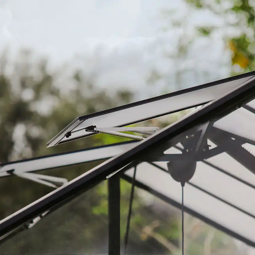 Växthus Canopia by Palram Triomph Orangeri 16 m²