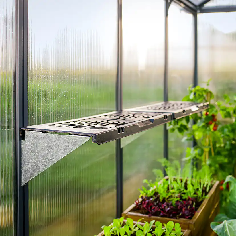 Hyllsats Canopia by Palram