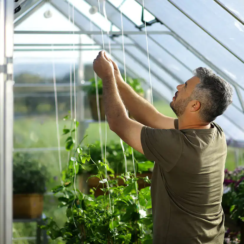 Växthus Canopia by Palram Balance 21,5 m² Silver