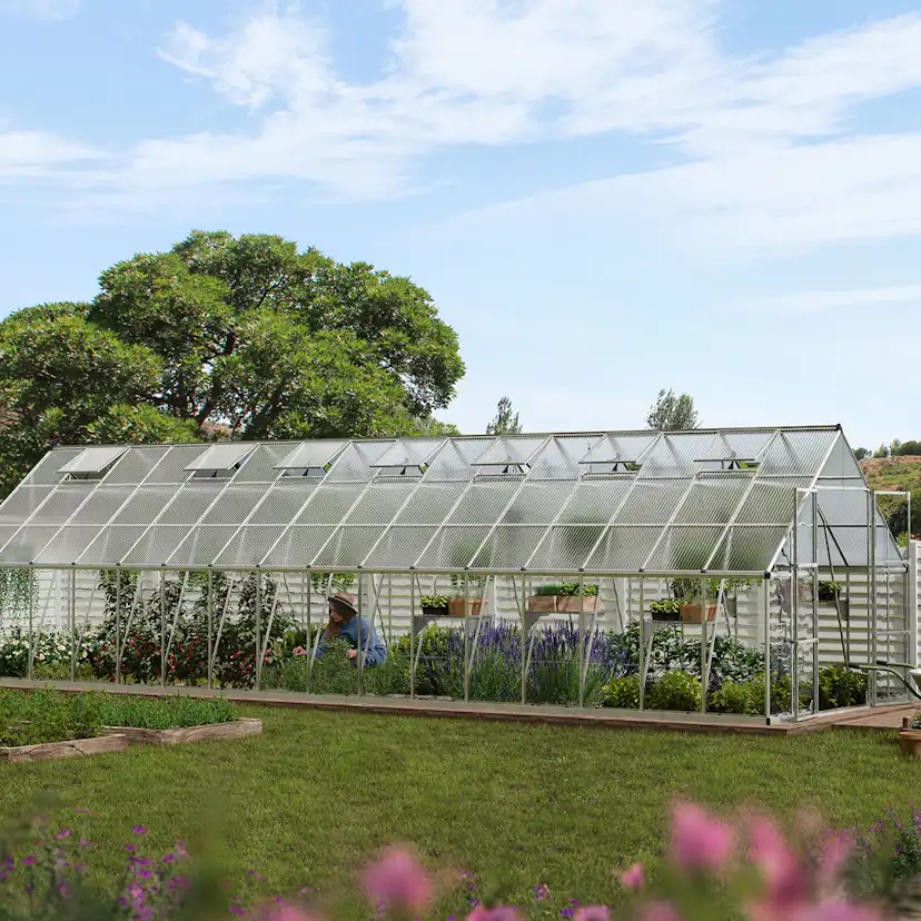 Växthus Canopia by Palram Balance 28,7 m² Silver
