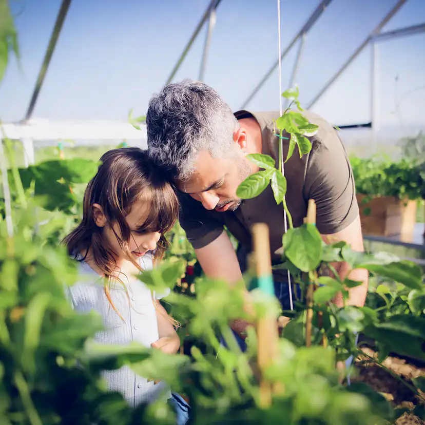 Växthus Canopia by Palram Balance 28,7 m² Silver