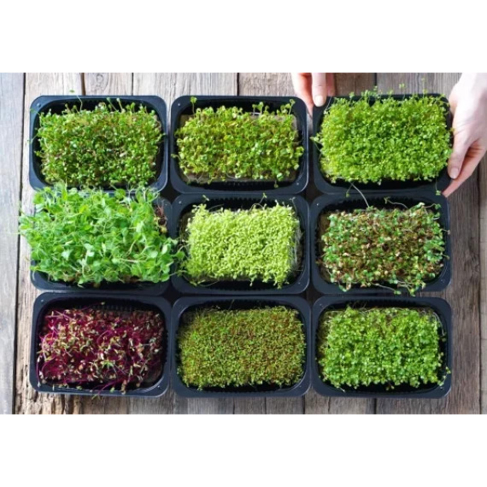 Odlingsmatta Turfquick Sallad Baby Leaf Mix