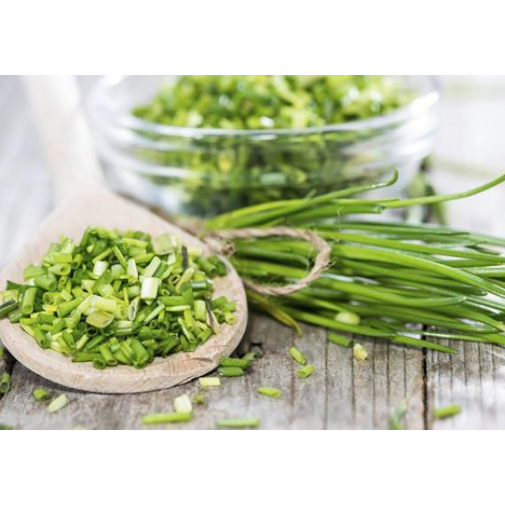 Odlingsmatta Turfquick Gräslök