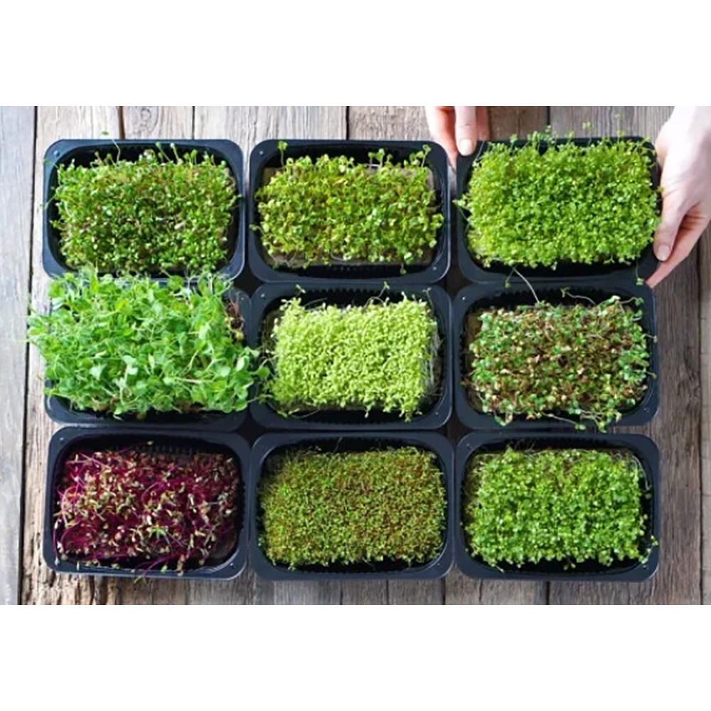 Odlingsmatta Turfquick Gräslök