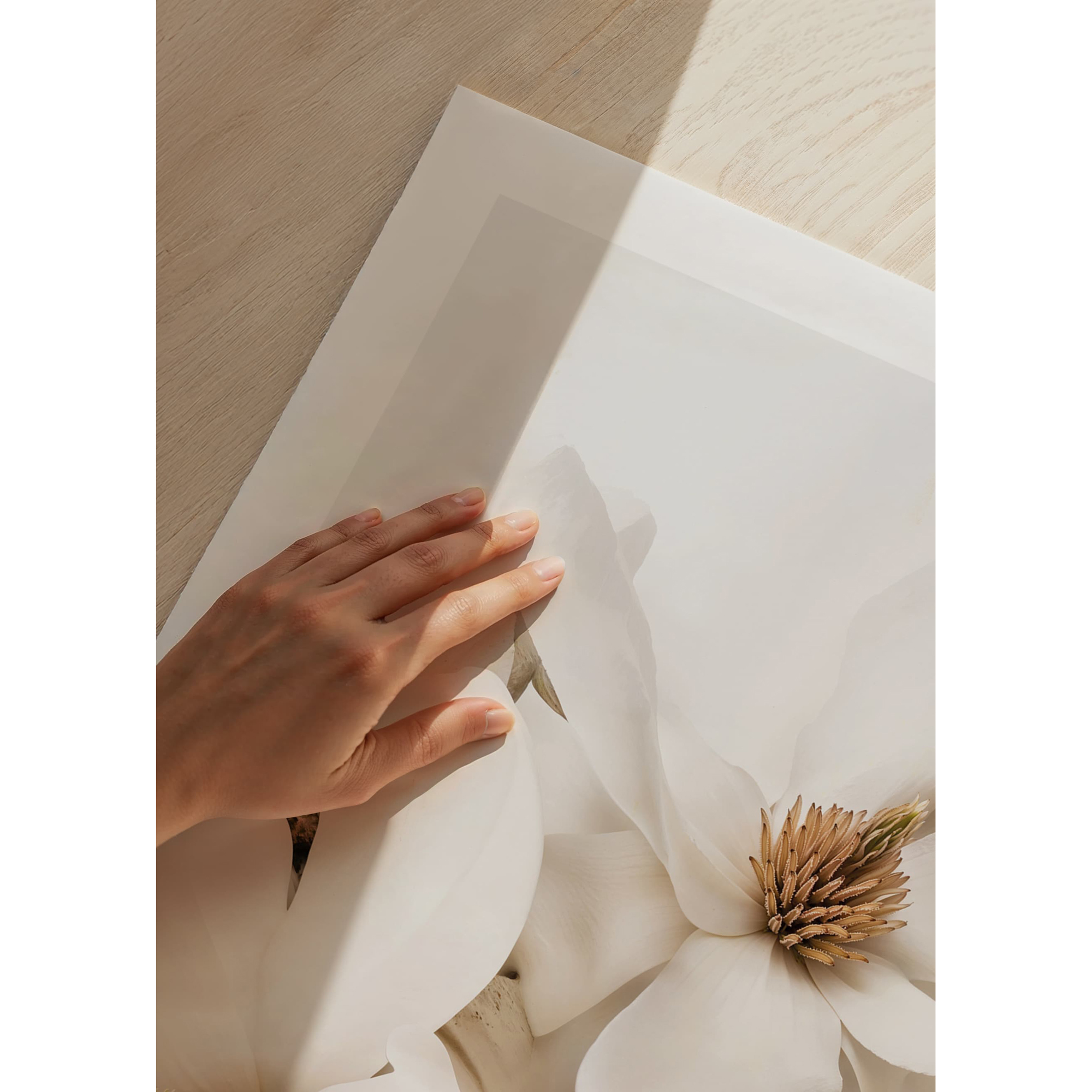 Poster Gallerix Magnolia Dream