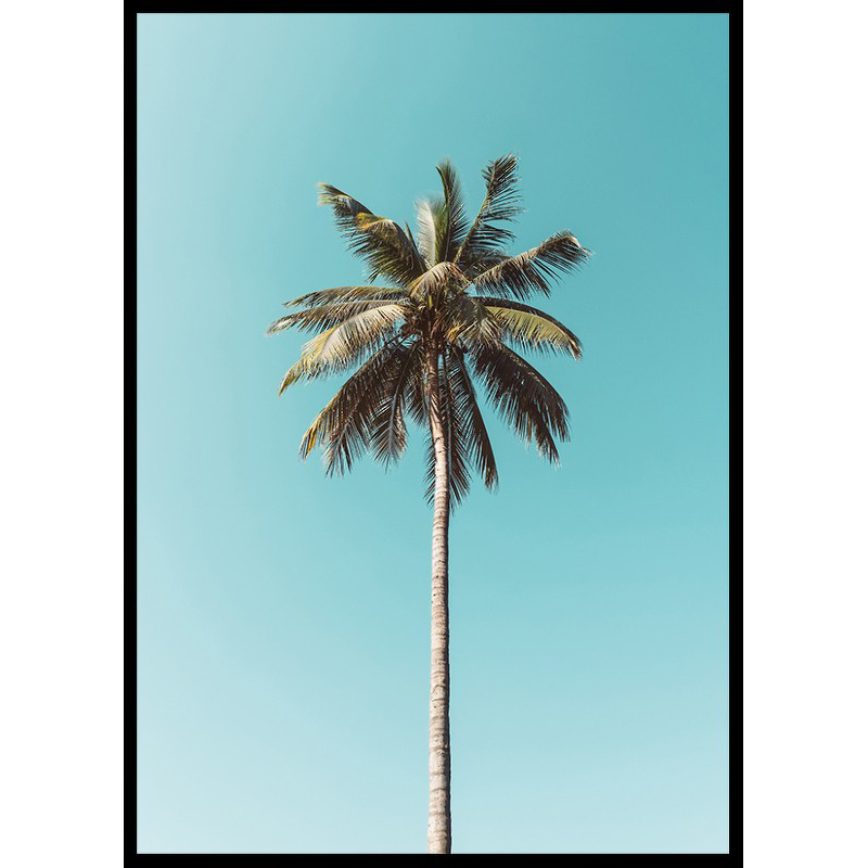 Poster Gallerix Palm Tranquility