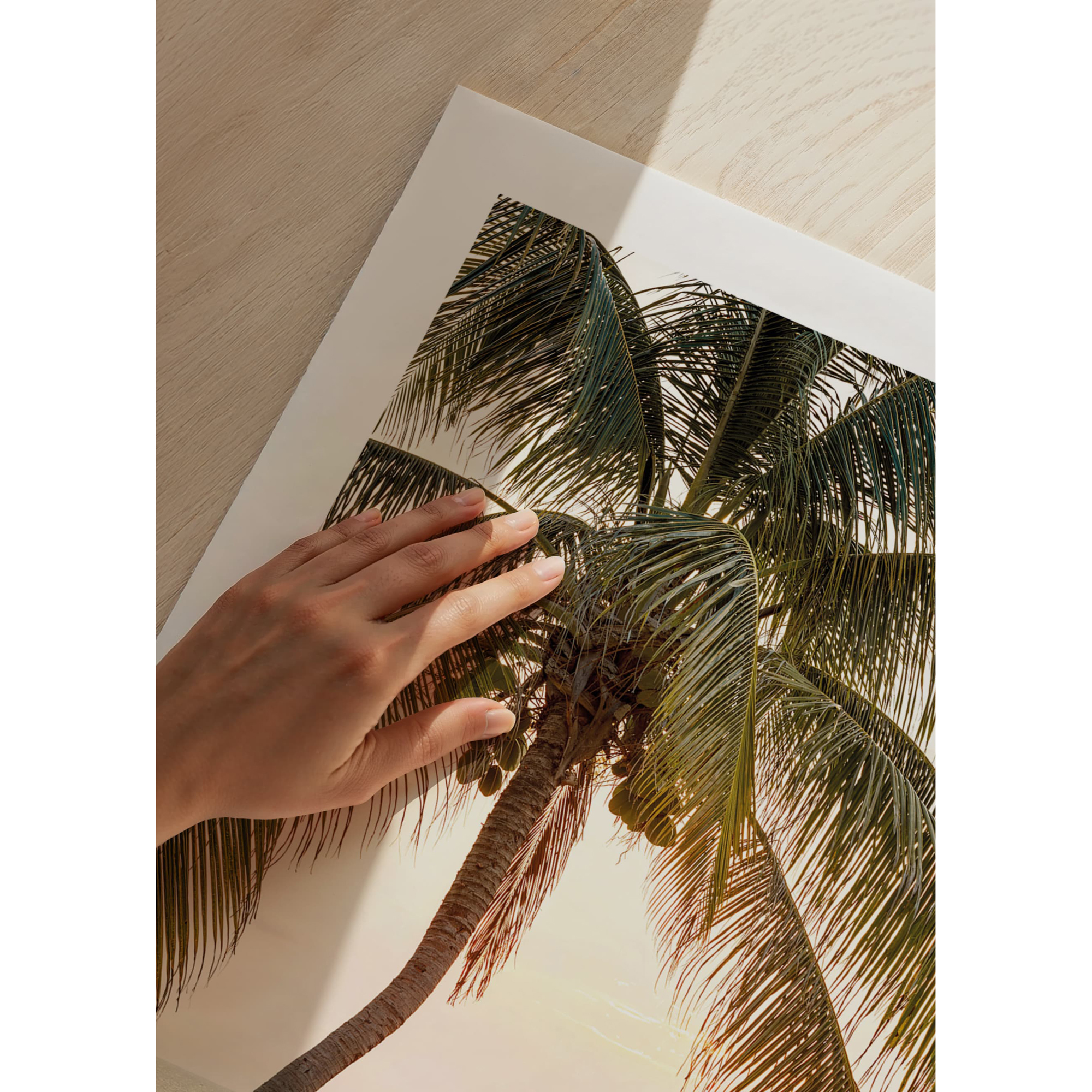 Poster Gallerix Tropical Serenity Sunset