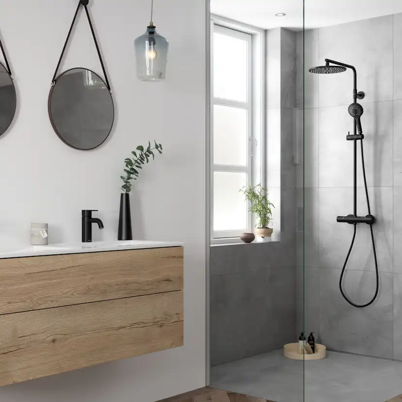 Tvättställsblandare Damixa Silhouet Låg