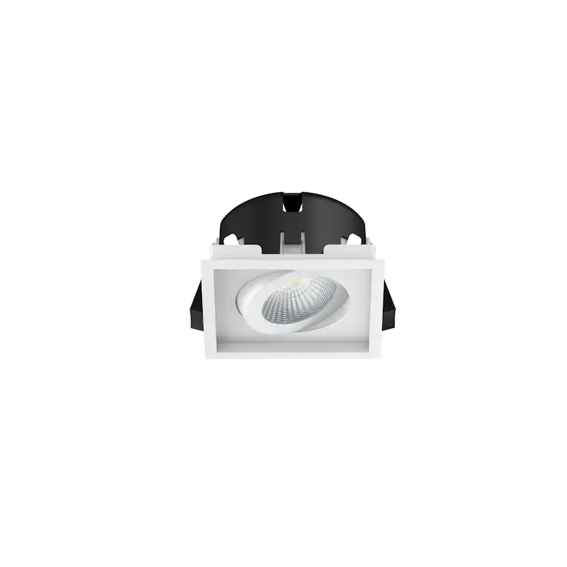 Downlight Westal WLD reko I Tilt 36g