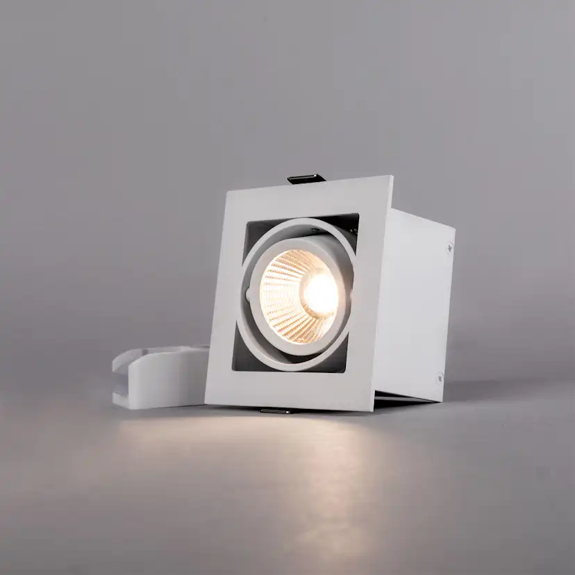Downlight Hide-a-lite Optic Box I