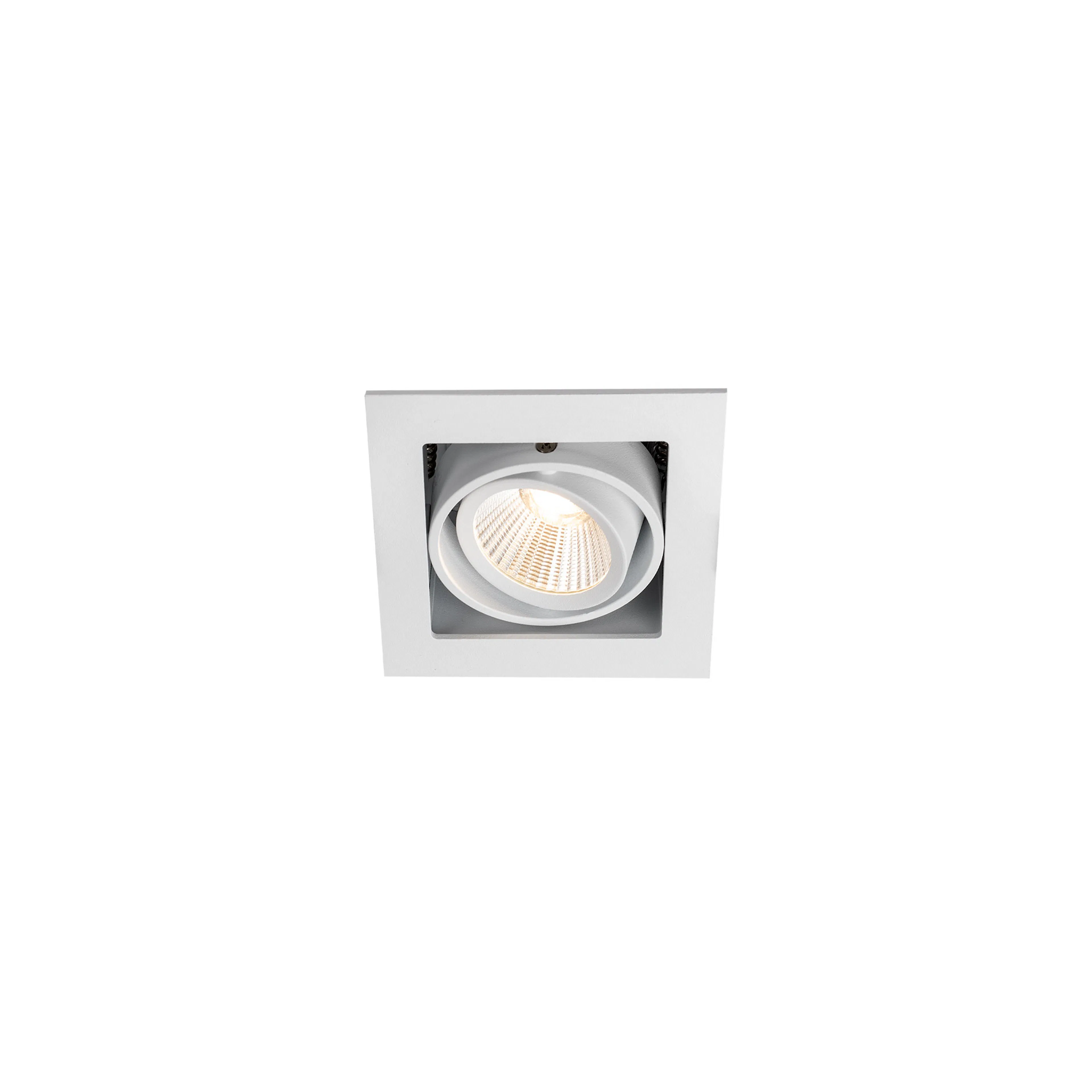 Downlight Hide-a-lite Optic Box I