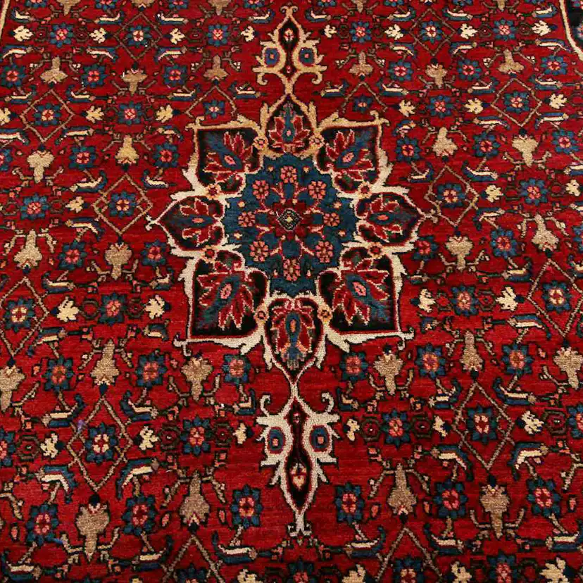 Persisk Matta Arkiio Bidjar 132x228