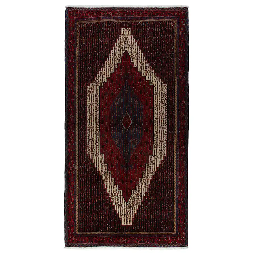 Persisk Matta Arkiio Senneh 161x328