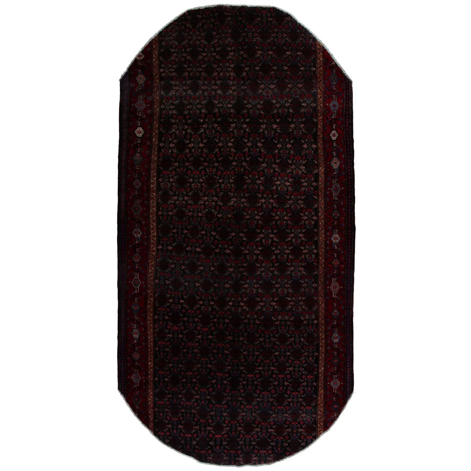 Persisk Matta Arkiio Senneh 165x331