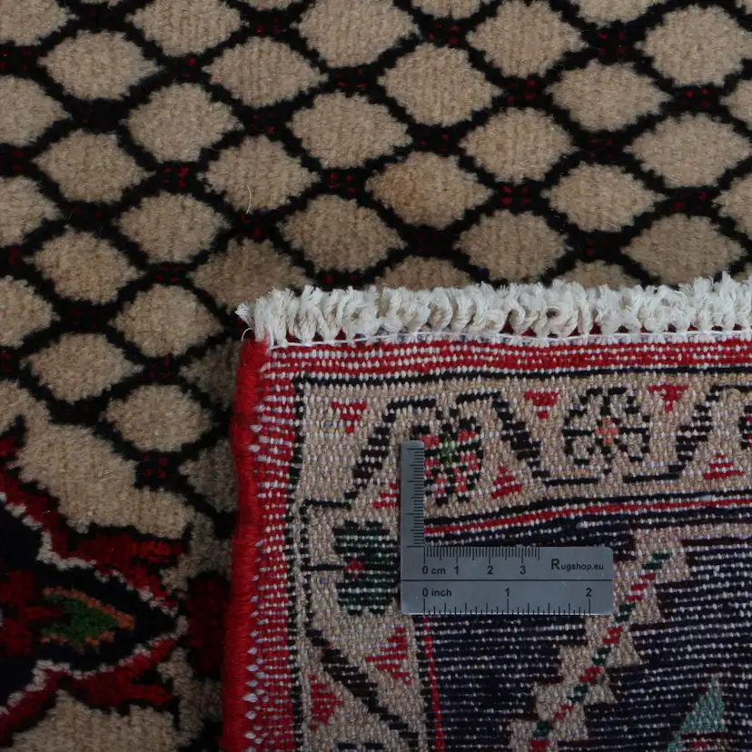 Persisk Matta Arkiio Koliai 146x376