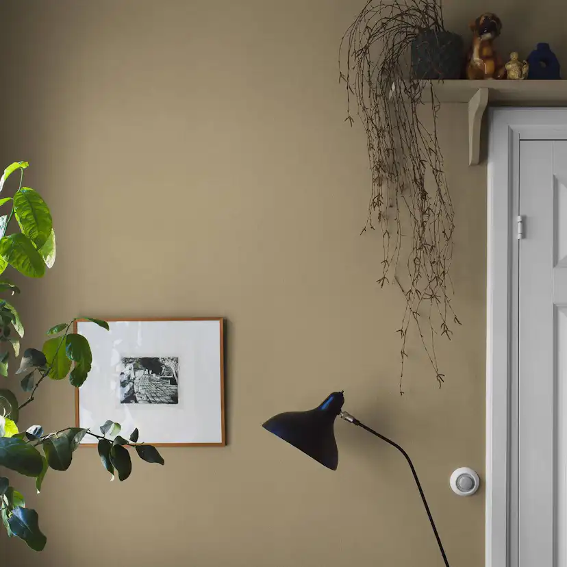 Tapet Boråstapeter Gold Sand 7579