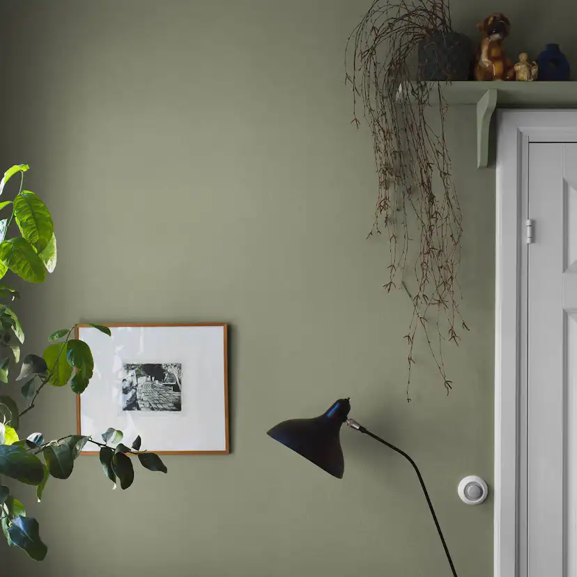 Tapet Boråstapeter Olivine Sand 7582