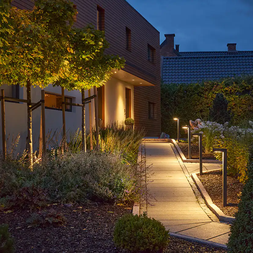 Pollare Norlys Asker 5124