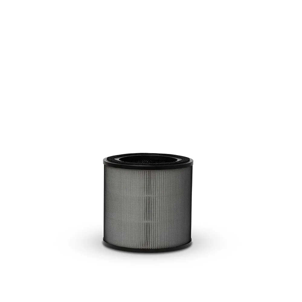 Partikelfilter Electrolux Ultrafine Particle Filter Pure 500