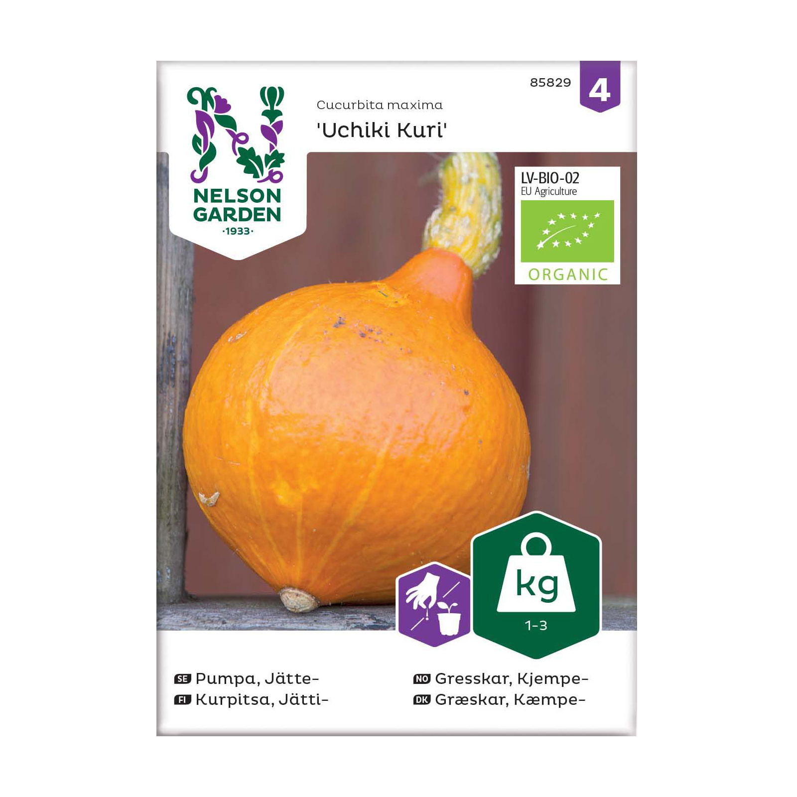 Frö Jättepumpa Nelson Garden Uchiki Kuri Organic