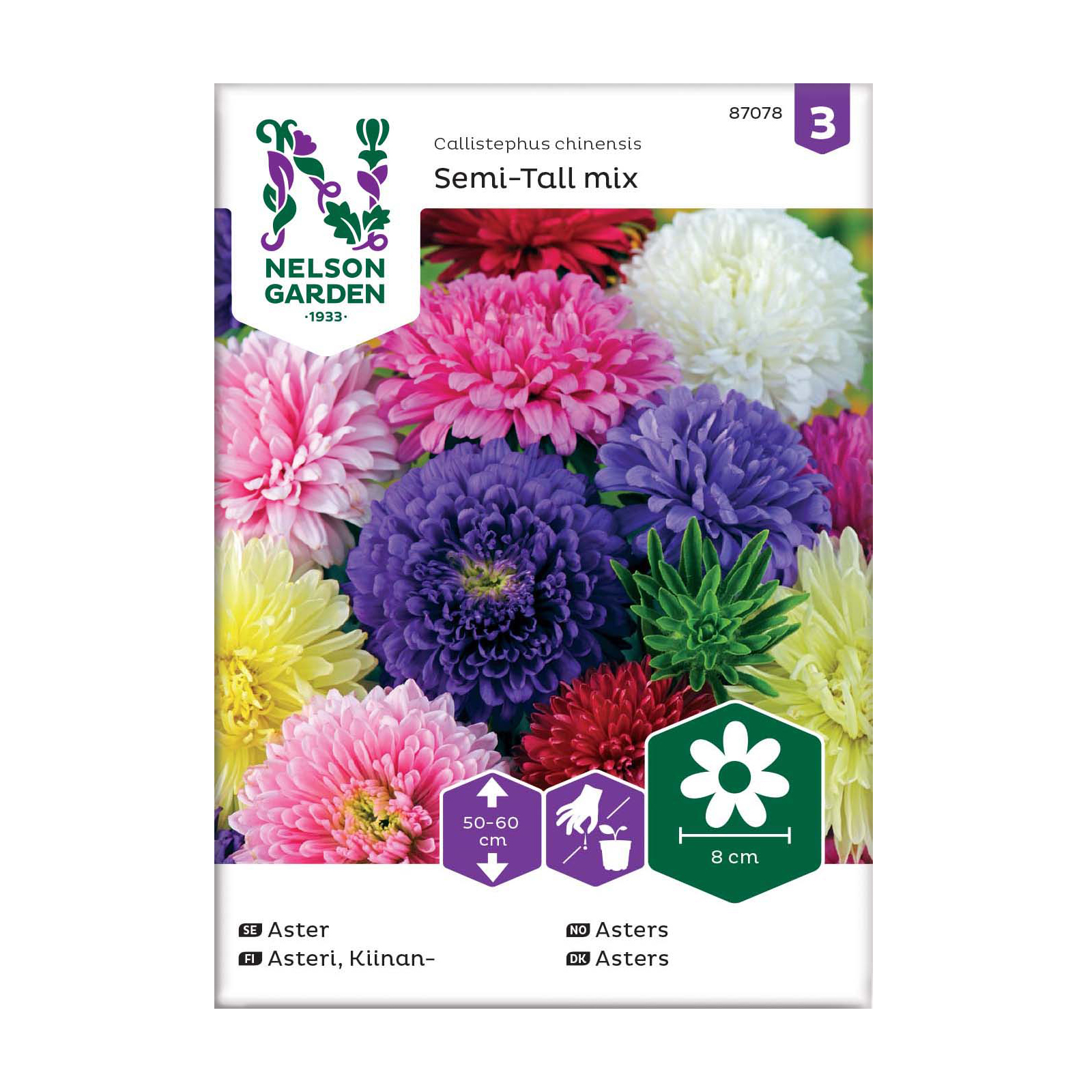 Frö Aster Nelson Garden Dubbel Mix