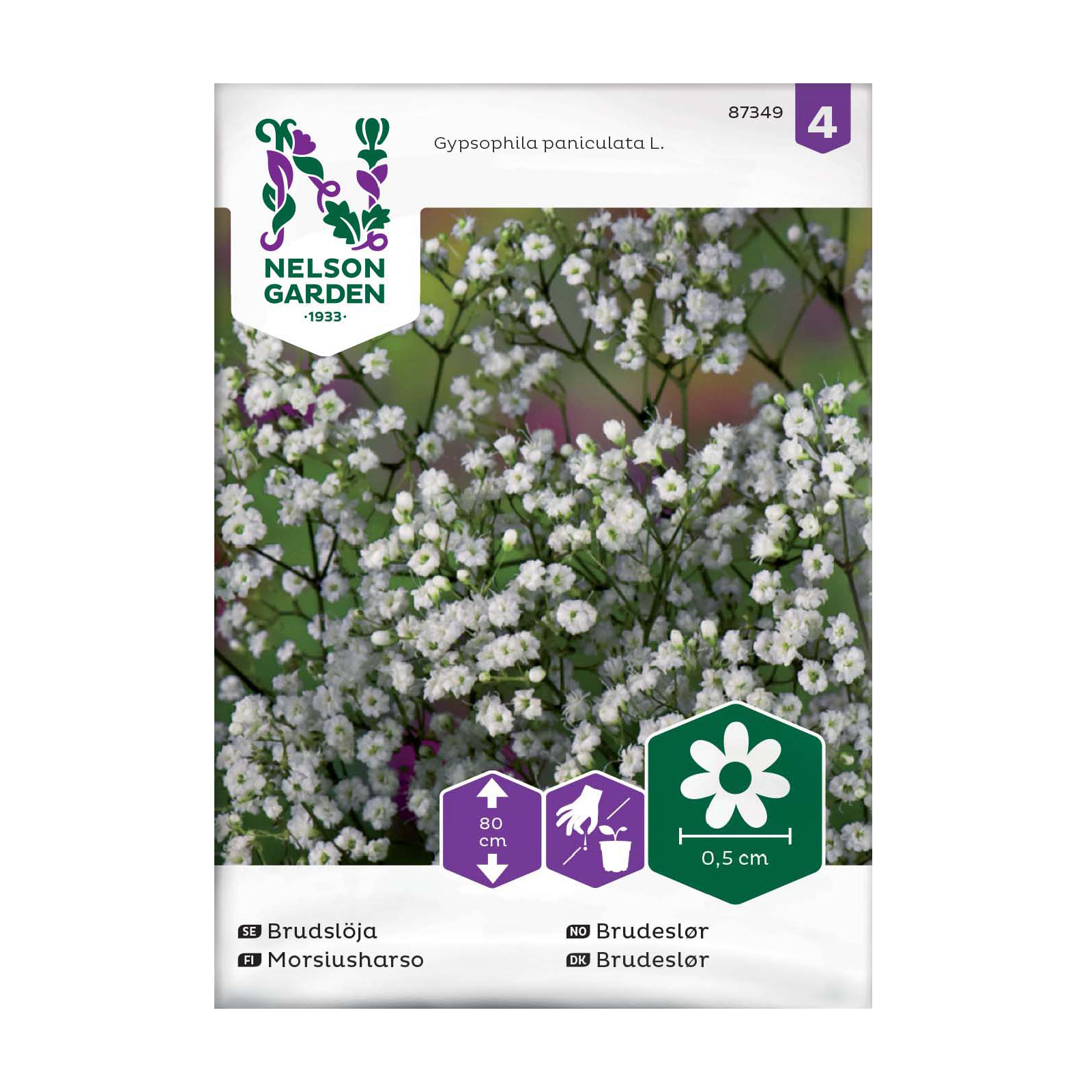 Frö Brudslöja Nelson Garden Enkel Vit