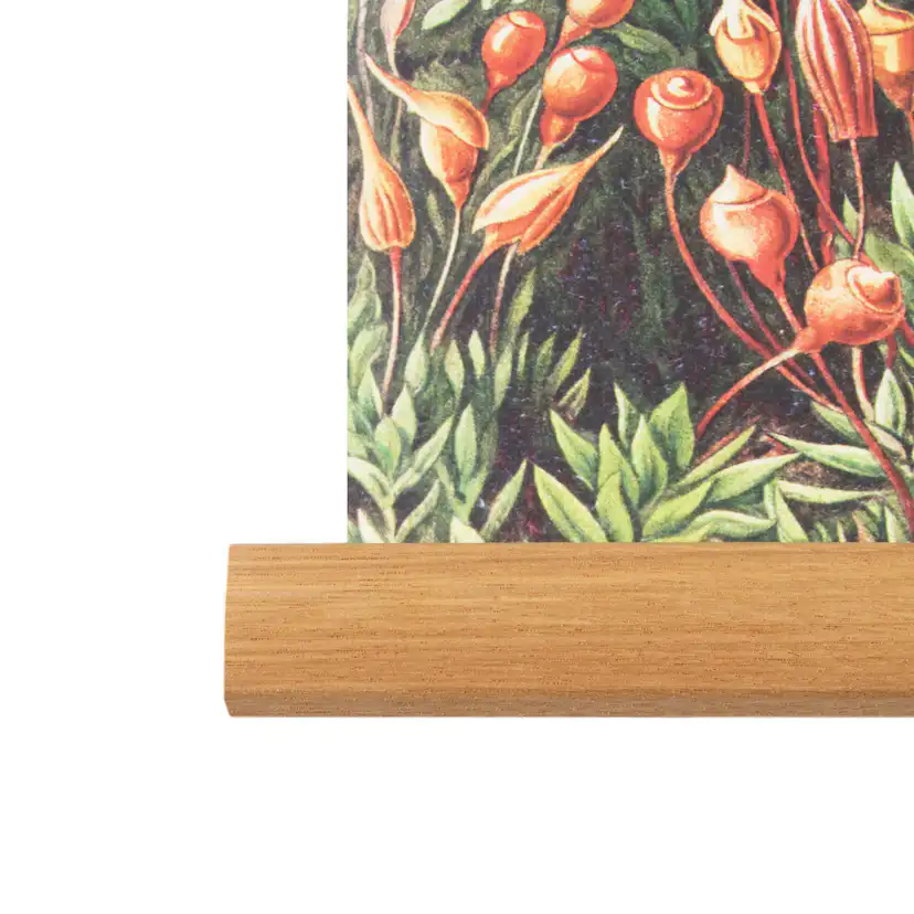 Hängande Affisch Art for the Home Forest 80x60