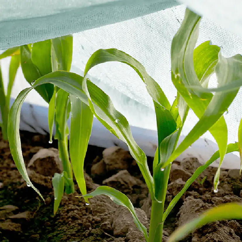 Fiberduk Jabo Agrimpex Agro-Marina 1,6x10 m Turkos