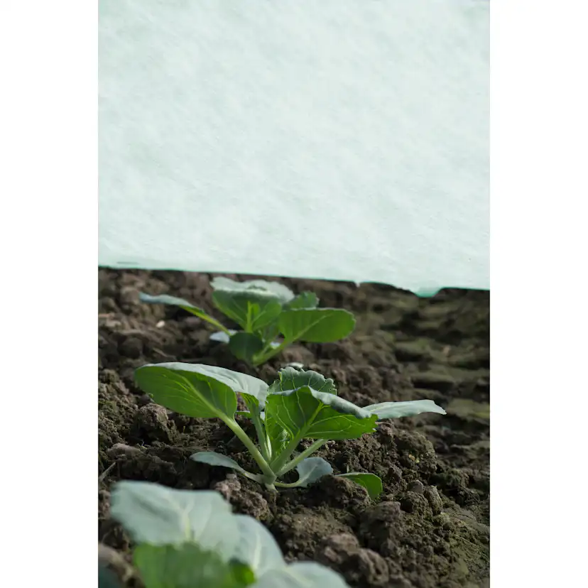 Fiberduk Jabo Agrimpex Agro-Marina 1,6x10 m Turkos