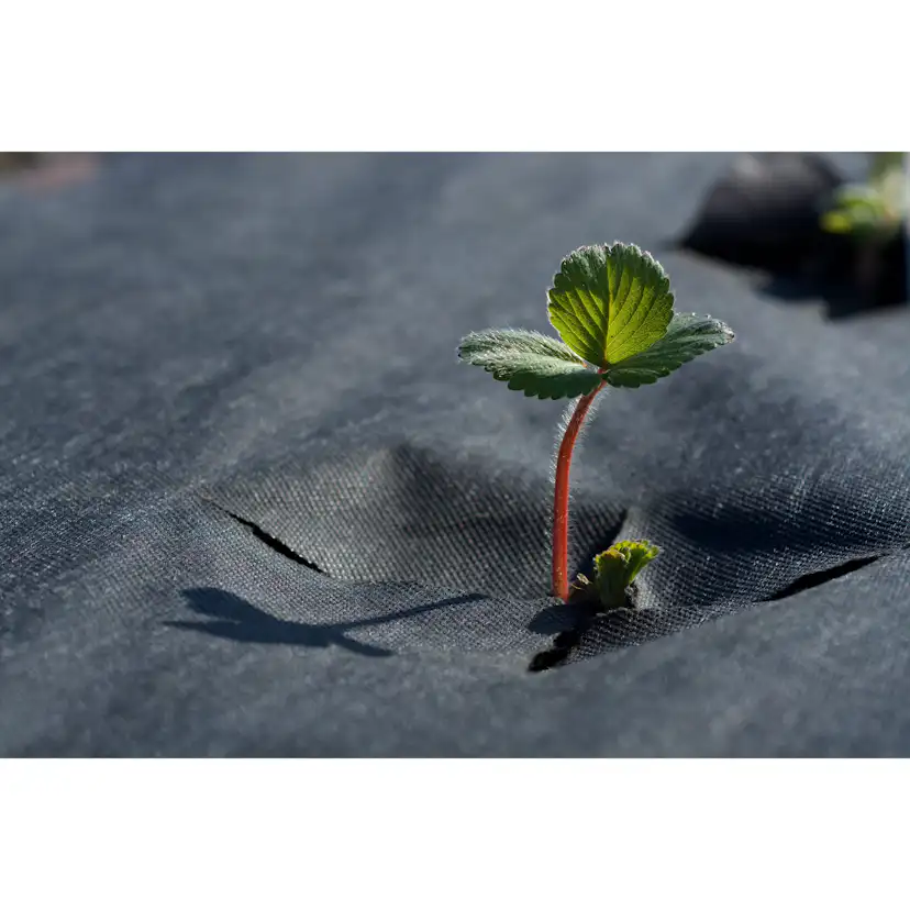 Jordgubbsduk Jabo Agrimpex med Förskurna Hål 1,2x10 m