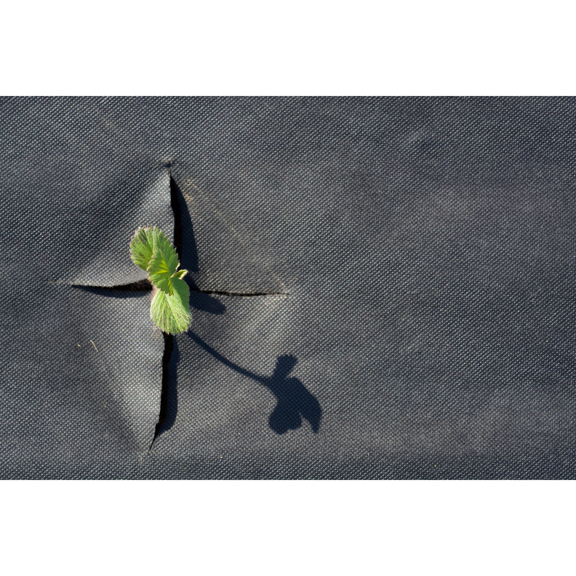 Jordgubbsduk Jabo Agrimpex med Förskurna Hål 1,2x10 m