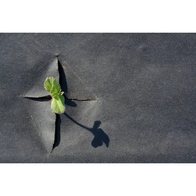 Jordgubbsduk Jabo Agrimpex med Förskurna Hål 1,2x10 m