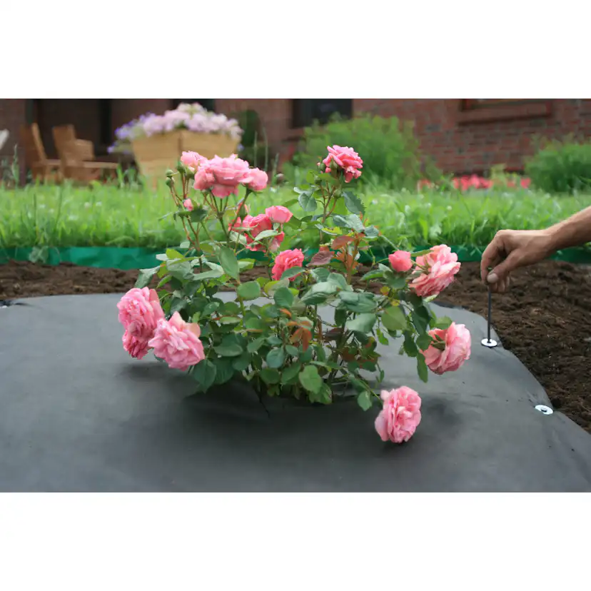 Jordgubbsduk Jabo Agrimpex med Förskurna Hål 1,2x10 m