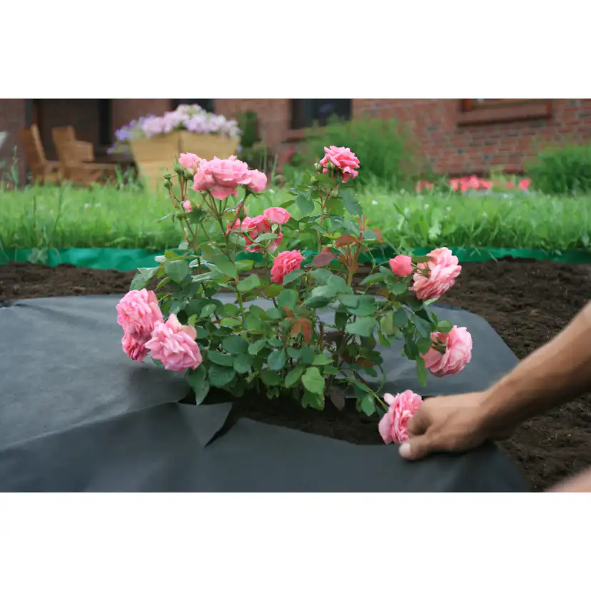 Jordgubbsduk Jabo Agrimpex med Förskurna Hål 1,2x10 m