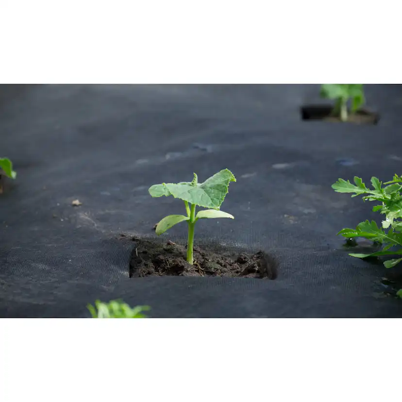 Jordgubbsduk Jabo Agrimpex med Förskurna Hål 1,2x10 m