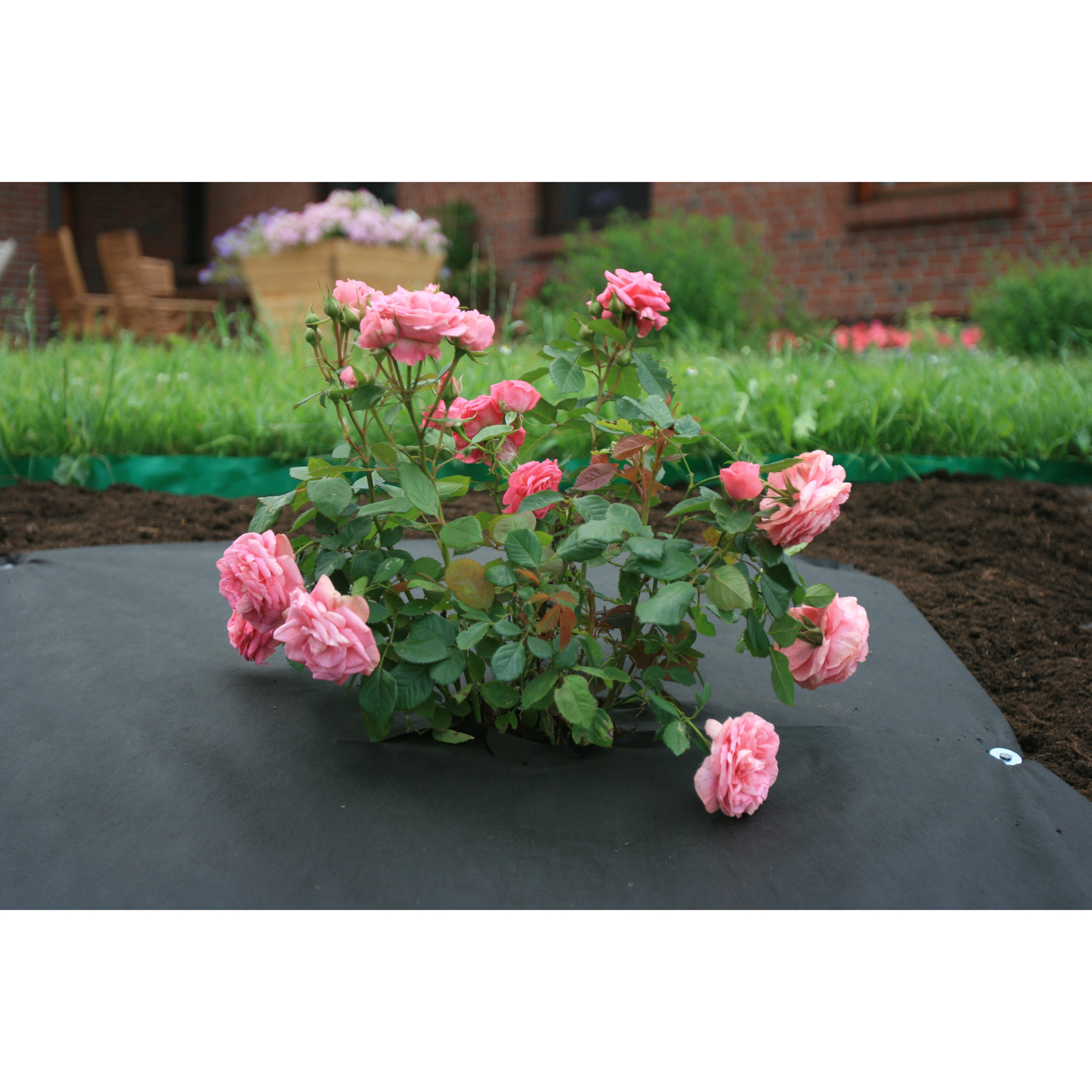 Barduk Jabo Agrimpex 1,6x10 m Svart