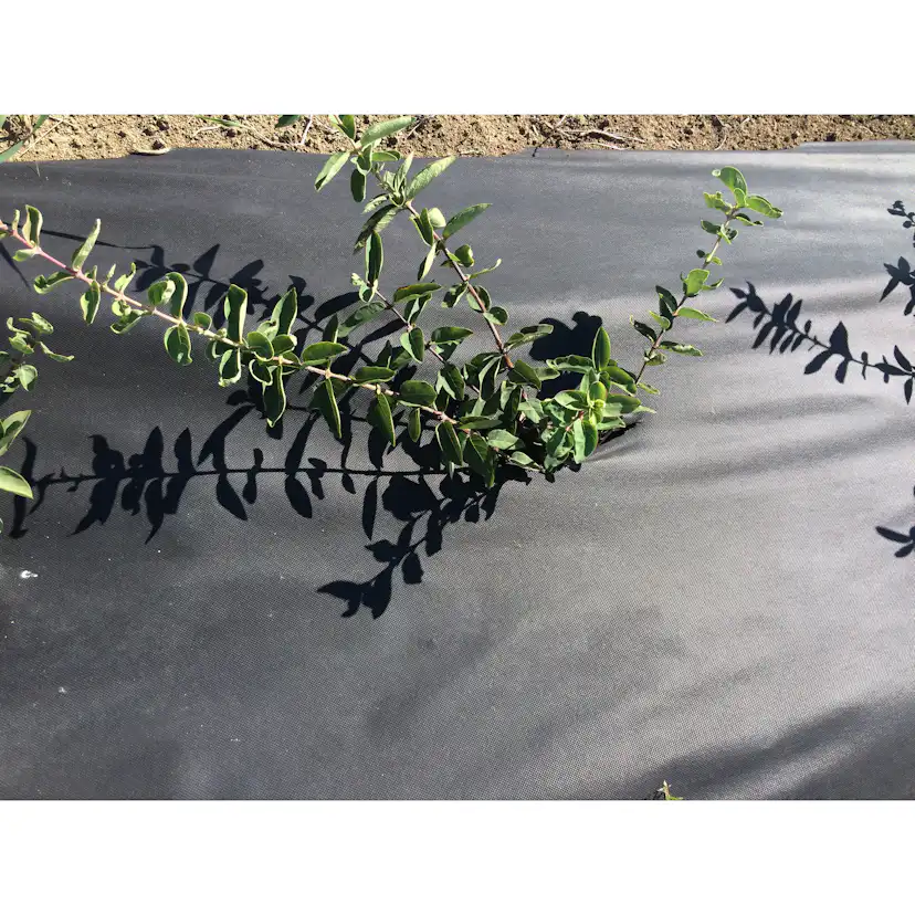 Barduk Jabo Agrimpex 1,6x10 m Svart